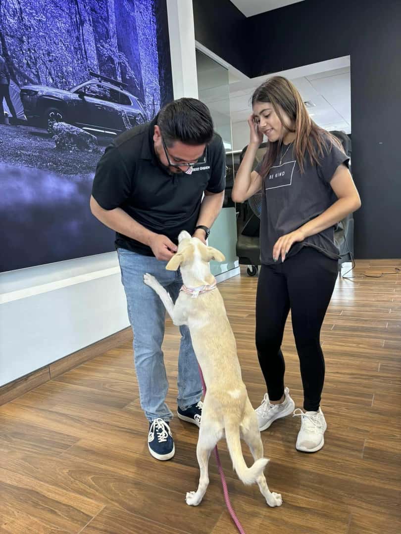 Bert Ogden & the Community Car Dealers near Kingsville, TX