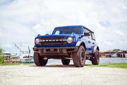 Bronco On Gravel