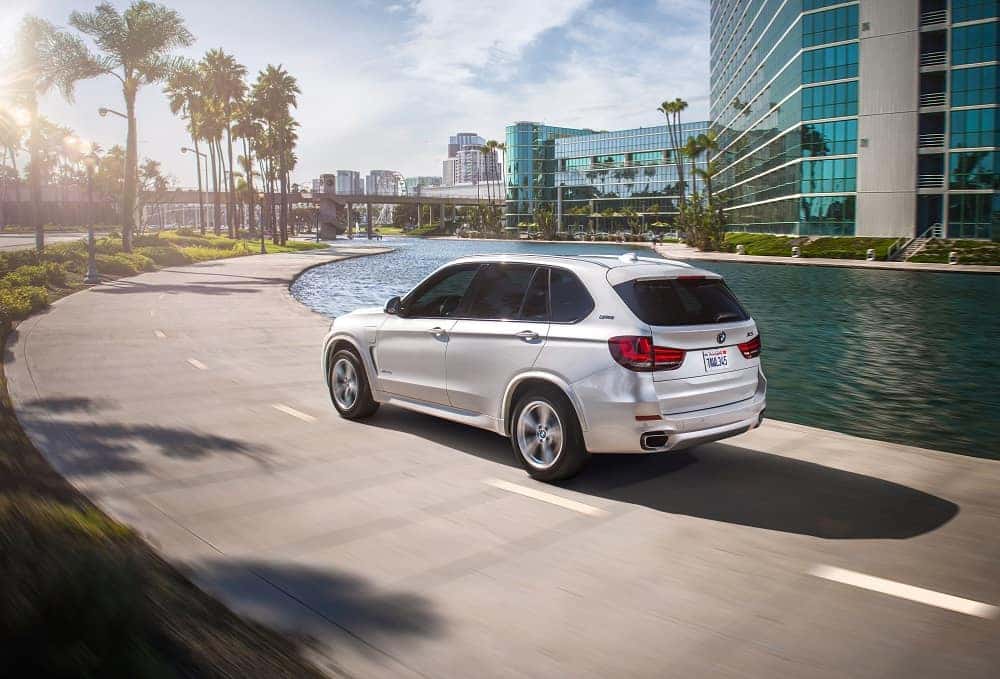 BMW X5 White