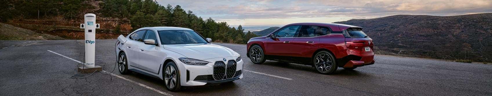 Electric Vehicle Dealer