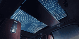 Panoramic Sky Lounge LED Roof.