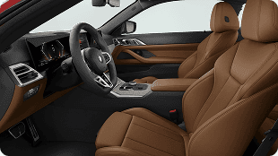 BMW 4 Series Coupe steering wheel and controls
