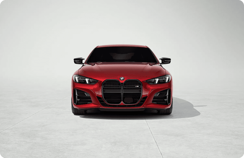BMW kidney grille