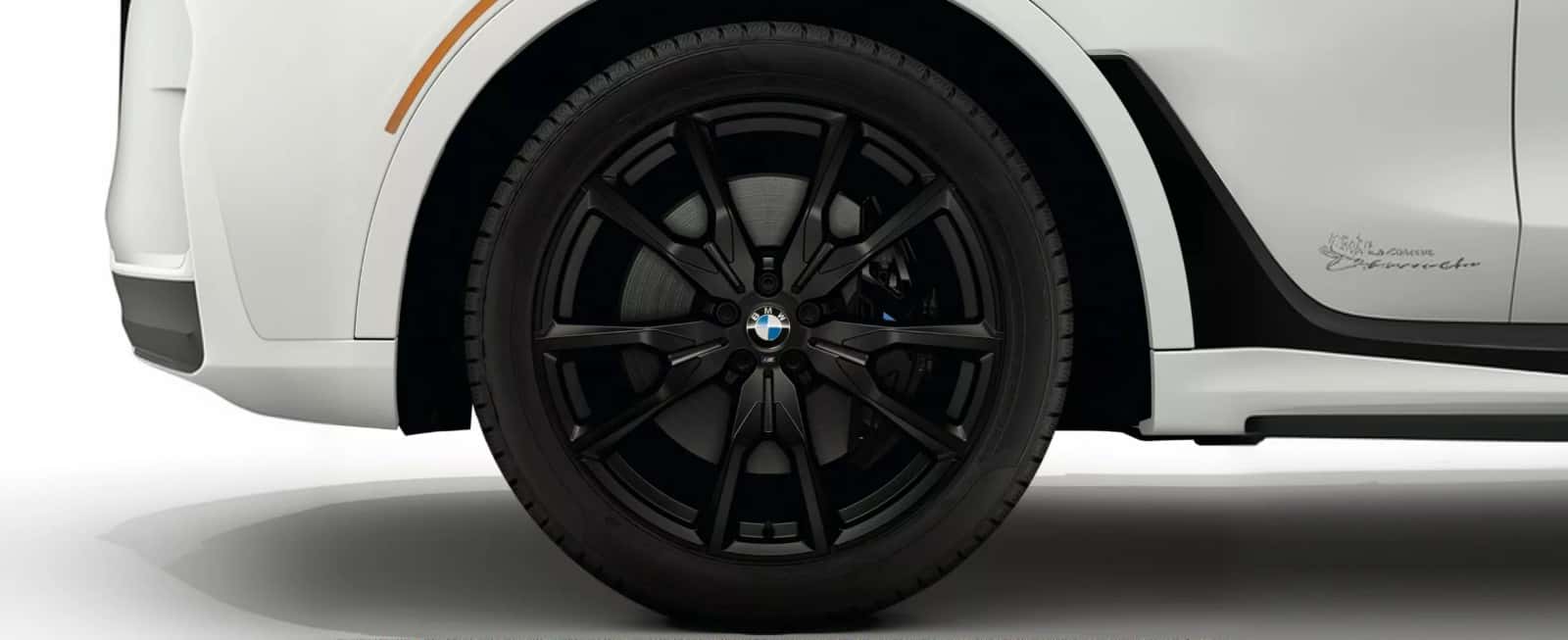 BMW 22-inch Winter Wheel with M V-Spoke 755M design