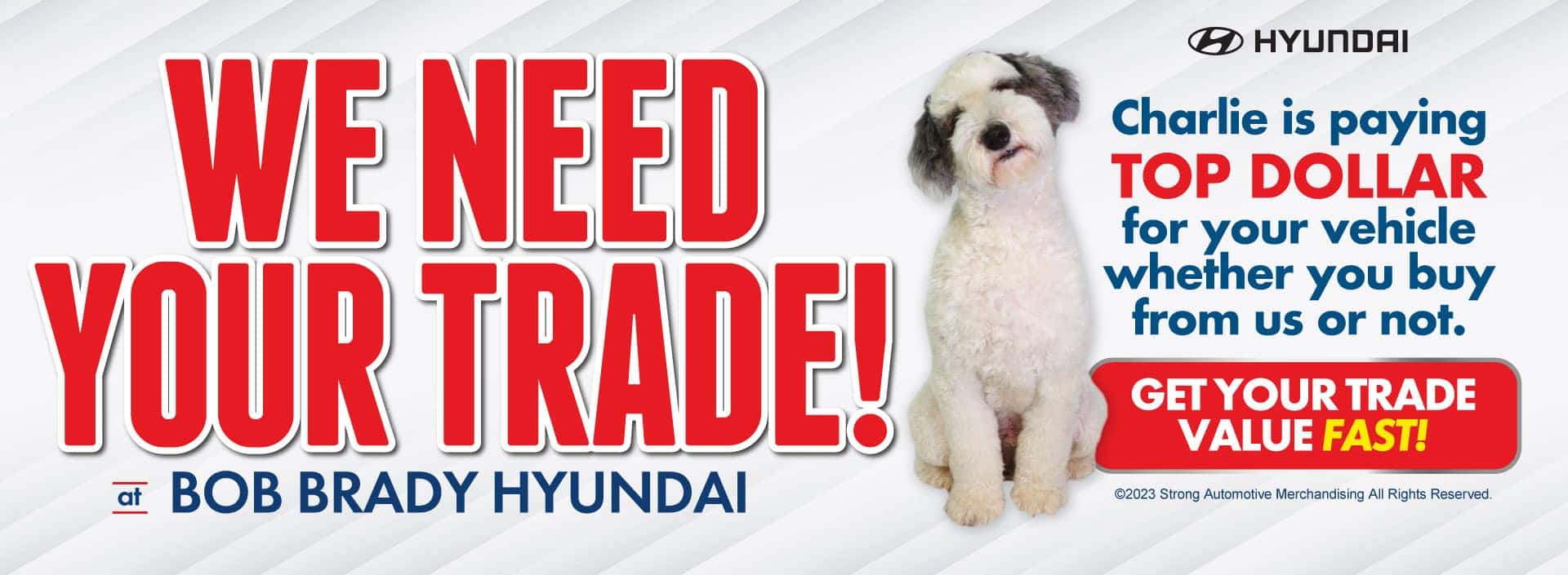 We need your trade!