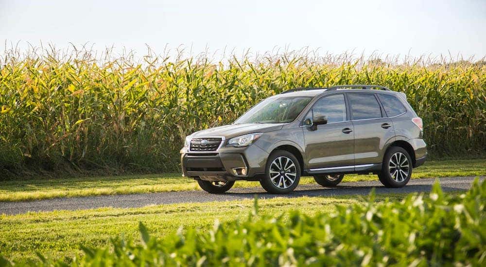 Everything You Need to Know About Used Subaru Foresters