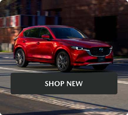 shop new