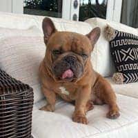 Otis  