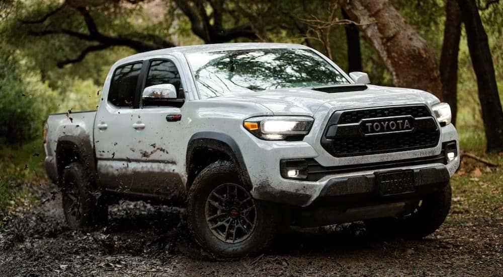 A white 2021 Toyota Tacoma is shown off-roading in the woods.