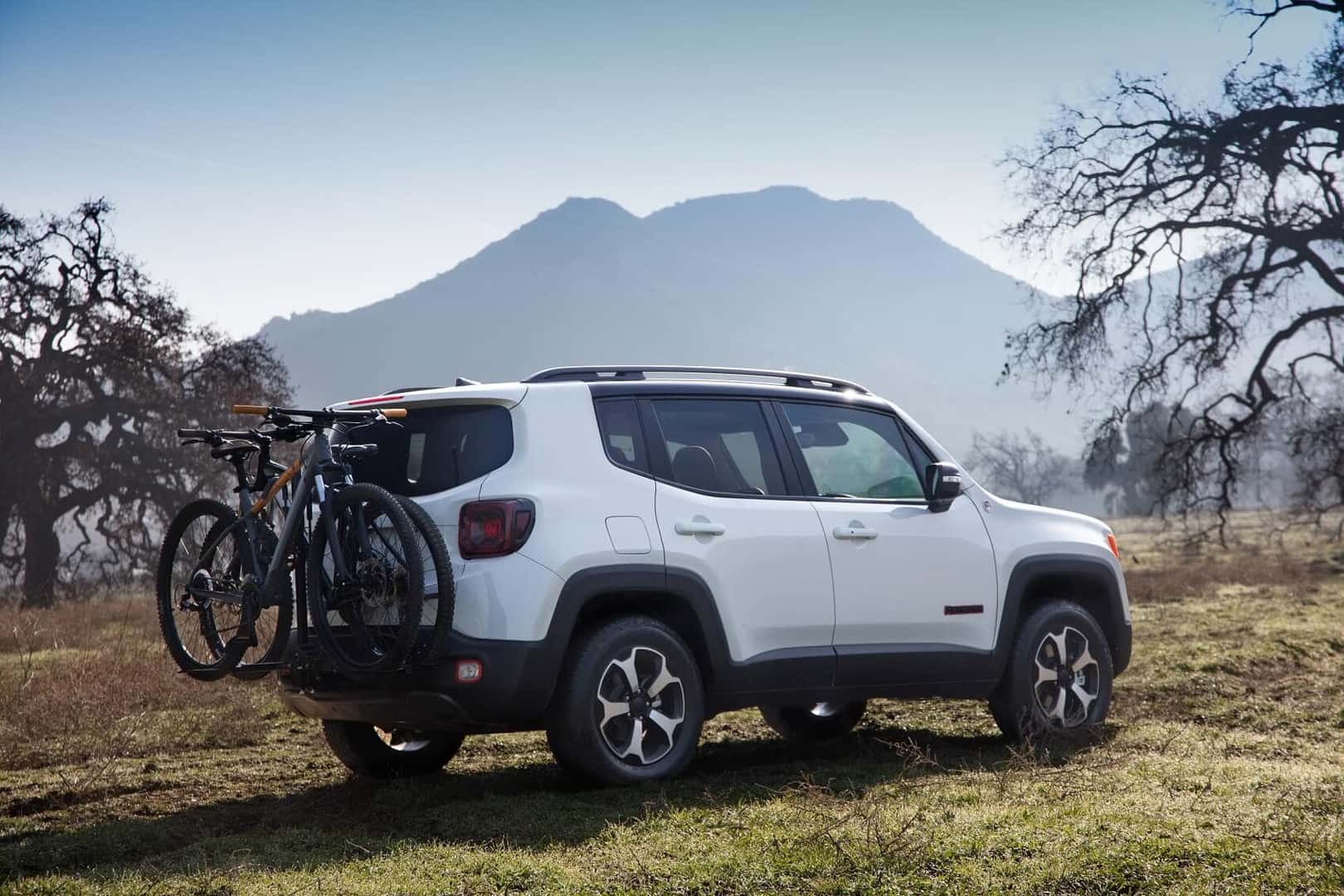Find the New Jeep You Want