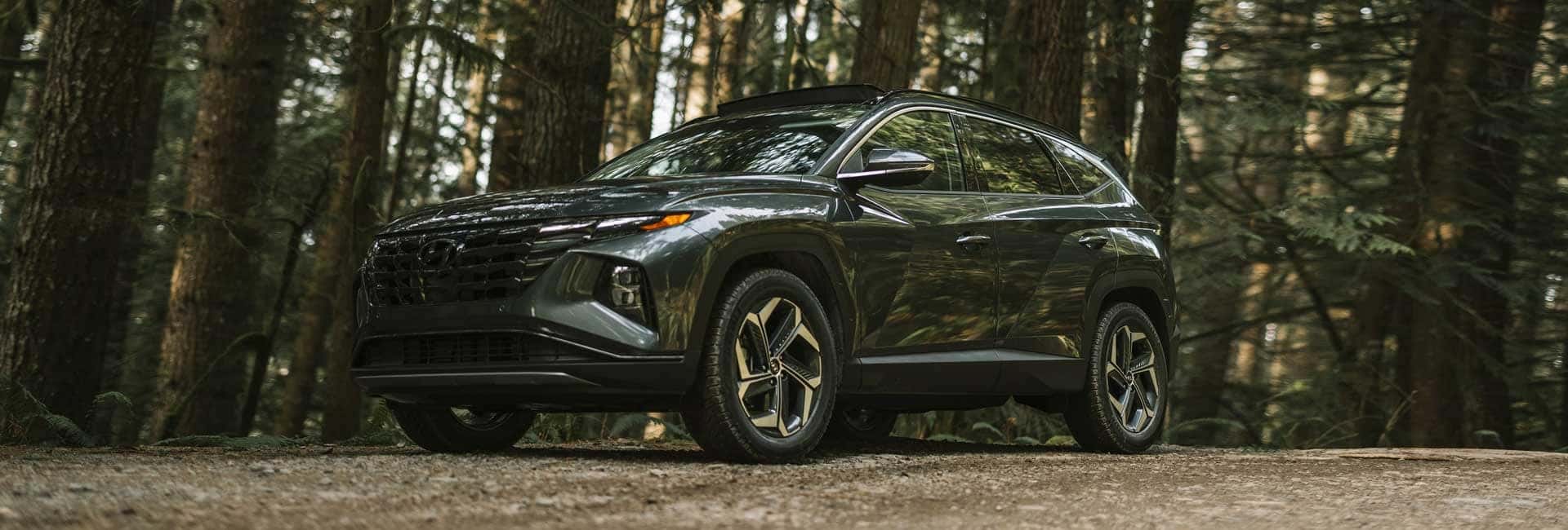 Hyundai Tucson 2023 in forest