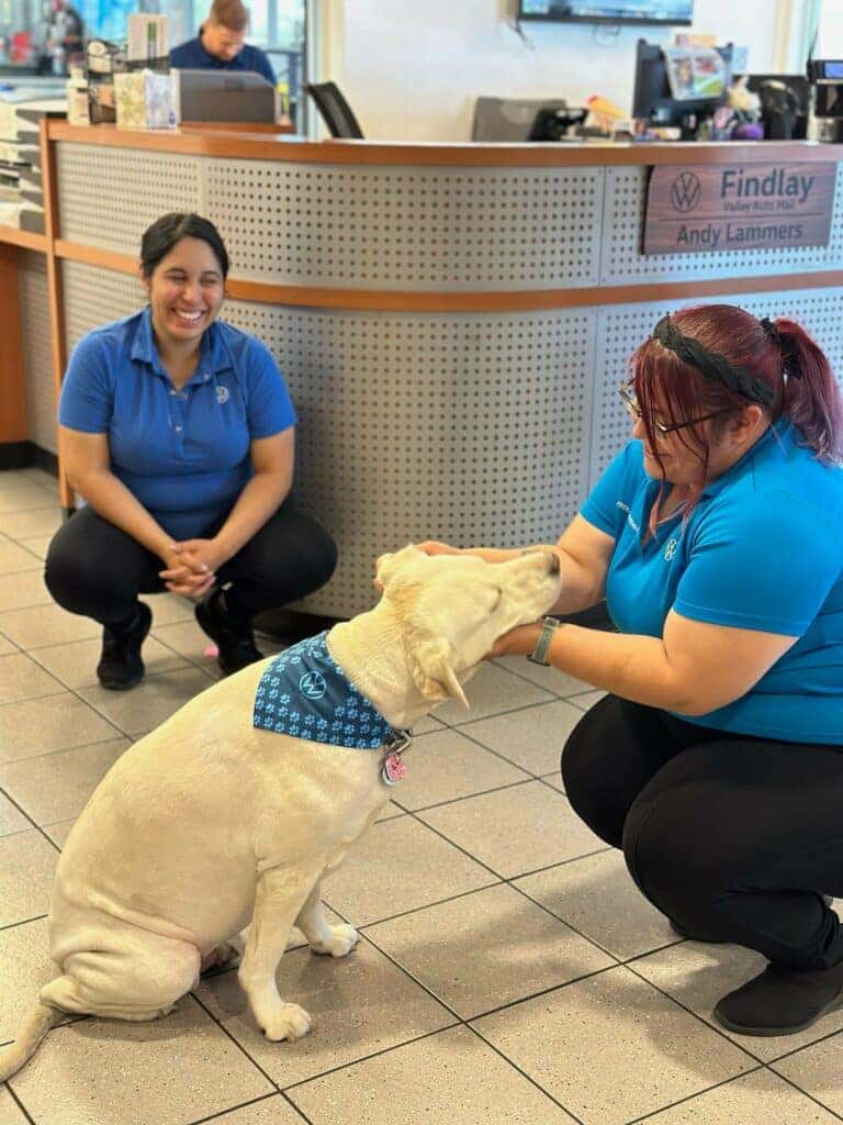 Findlay VW and Vegas Pet Rescue Project team up to help local pets in a
