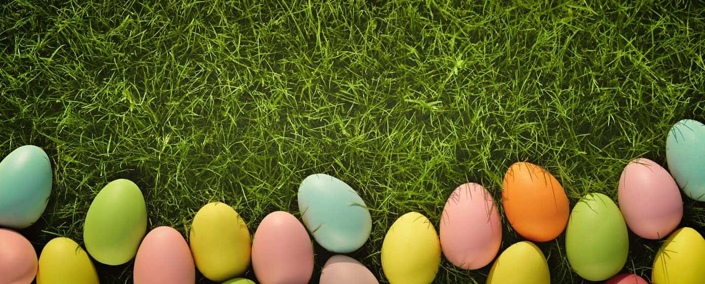 Easter Eggs on Grass