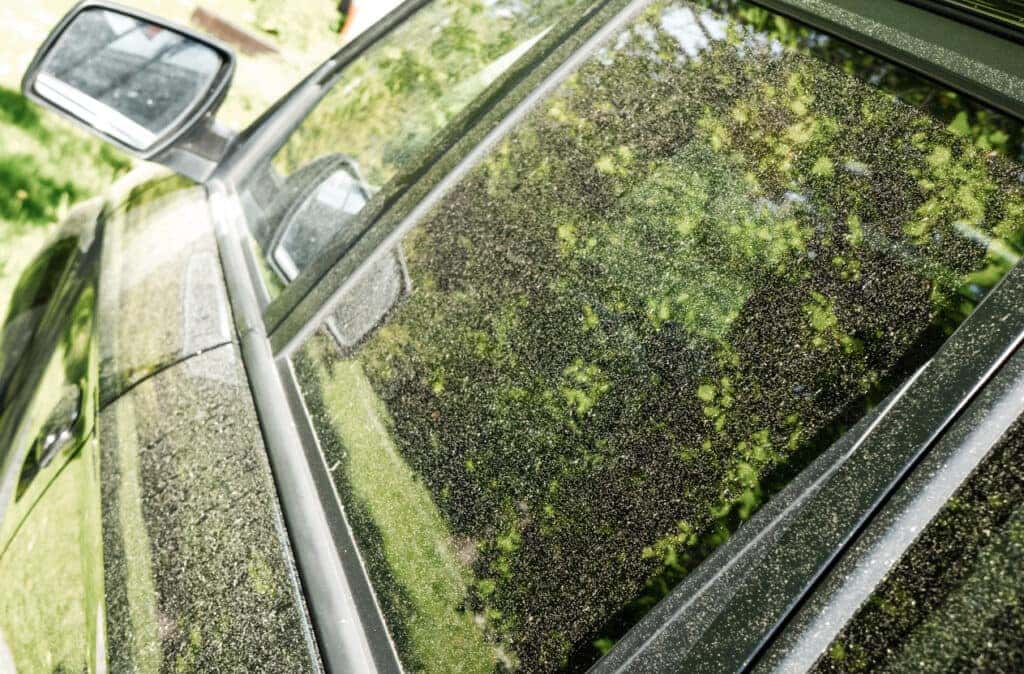 A car covered in pollen is very unsightly for many drivers.