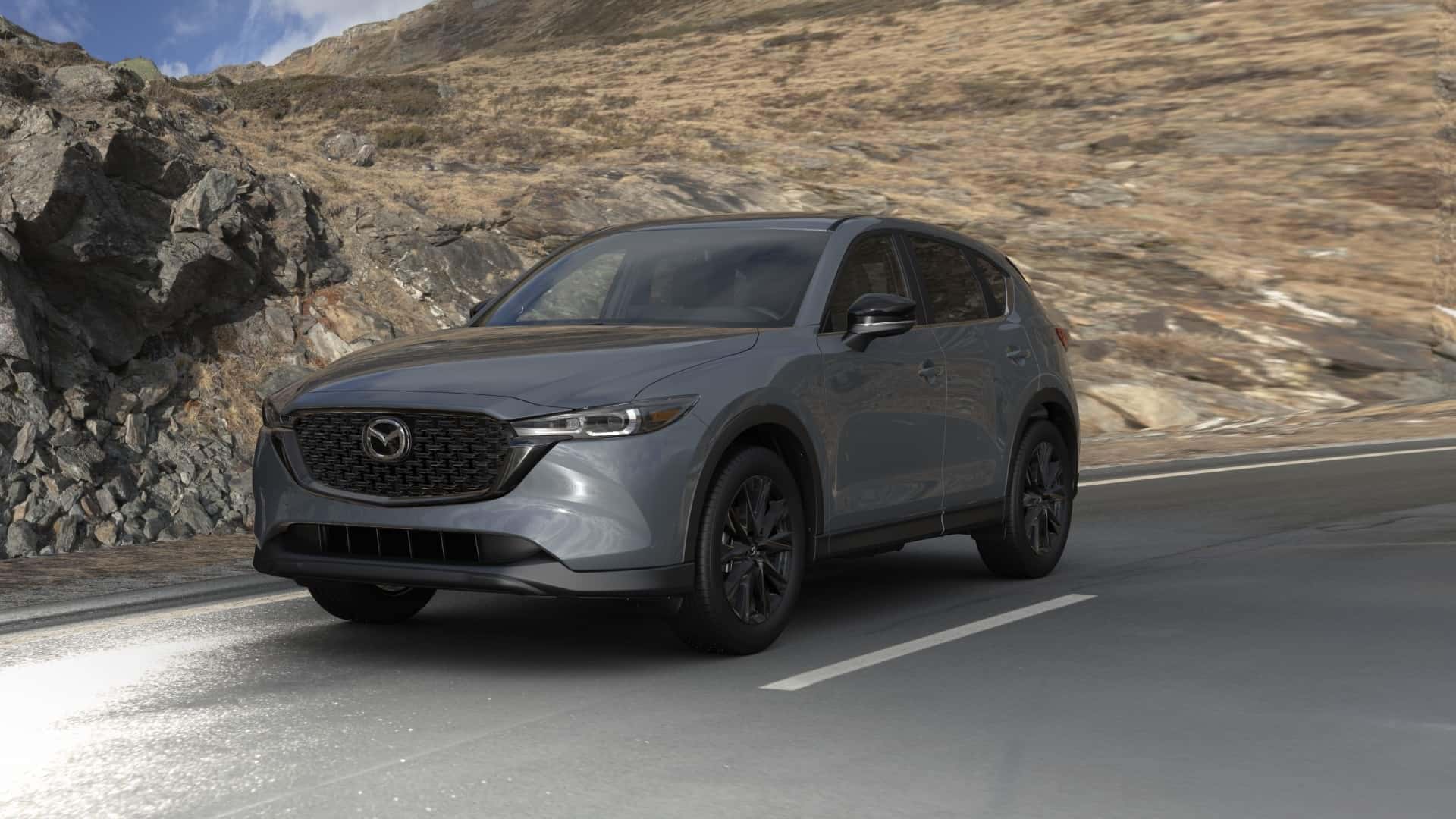Polymetal Gray Metallic