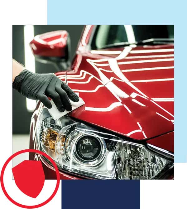 Holiday VIP has you covered. Gloved hand cleaning the hood of a read car. Red icon in the lower-left of shield in circle.