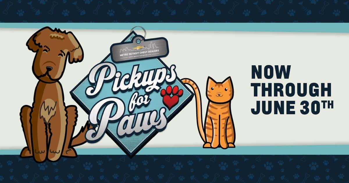 banner-paws