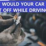 A person's hands showing spark plugs
