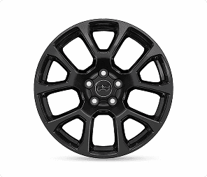 18-inch Painted Gloss Black