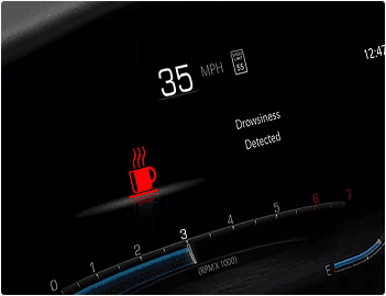 Drowsy Driver Detection