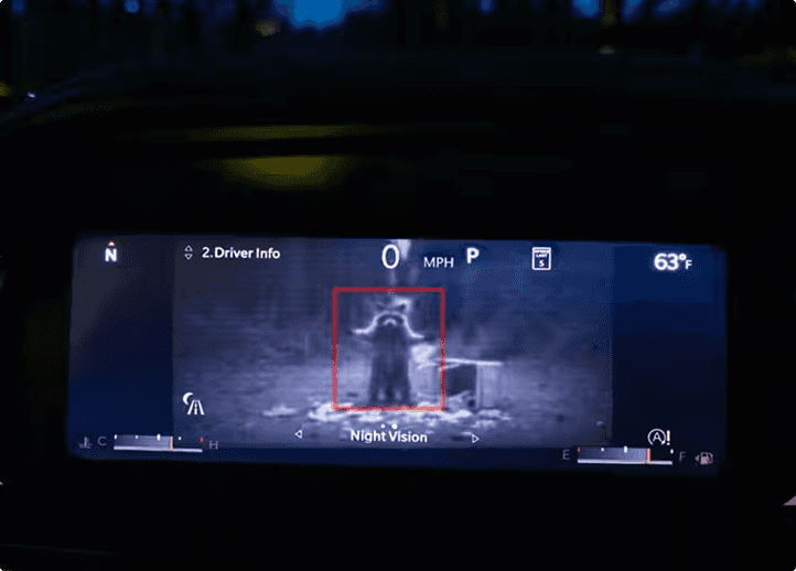 Night Vision Camera