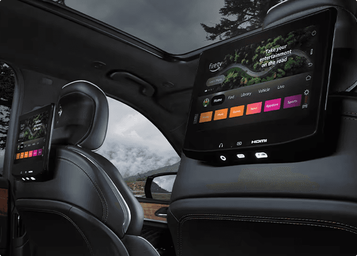 Rear Seat Entertainment