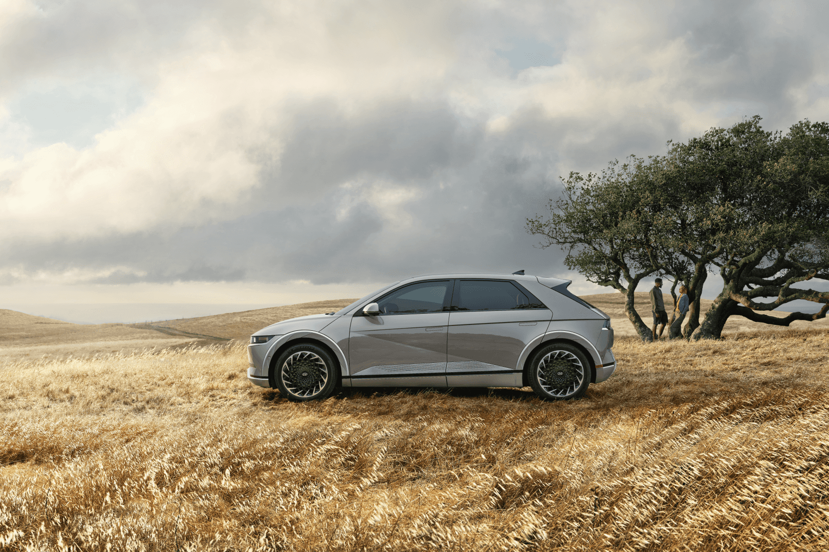 Hyundai IONIQ 5 Field