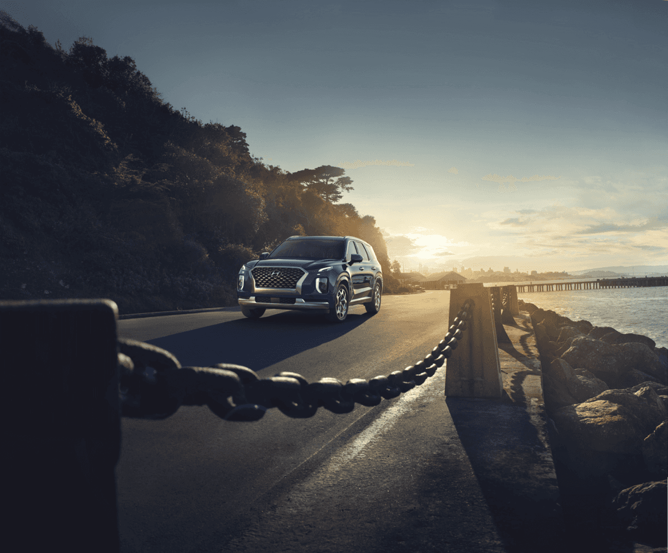 2021 Hyundai Palisade Sunset