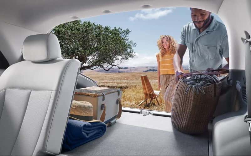 Interior Space and Comfort