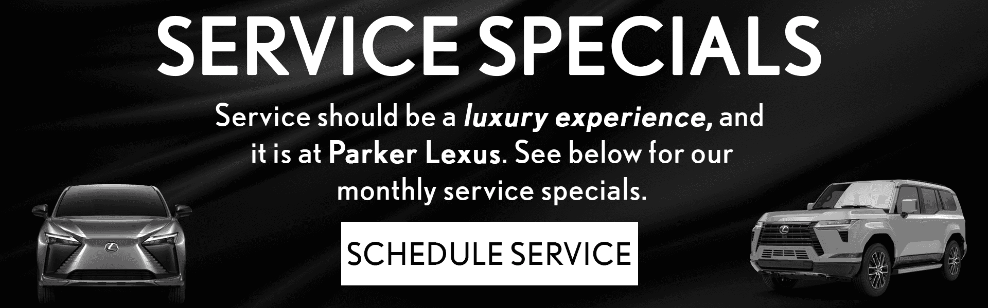 Parker-Lexus-Banner