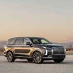 Parked-Hyundai-Palisade