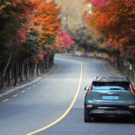 a car driving down a road with trees on either side of it