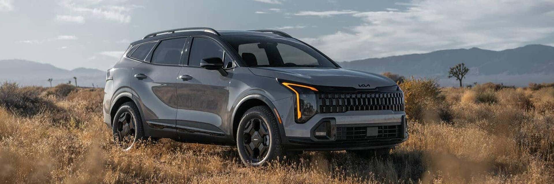 2026 kia sportage parked in tall grass