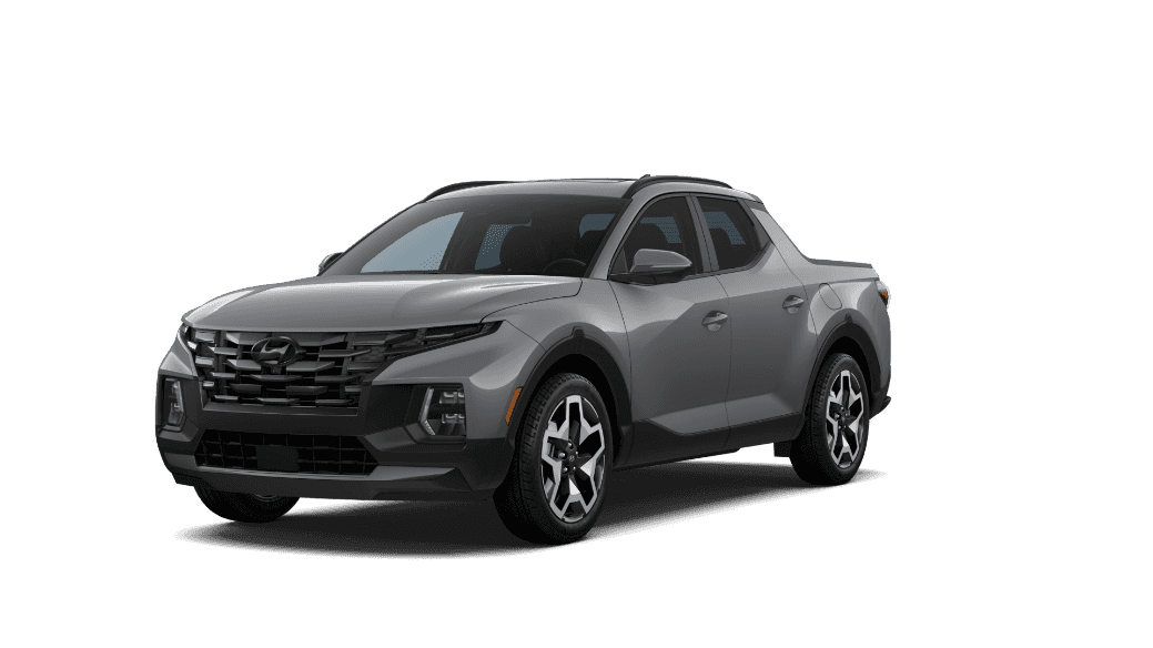 Santa Cruz Limited