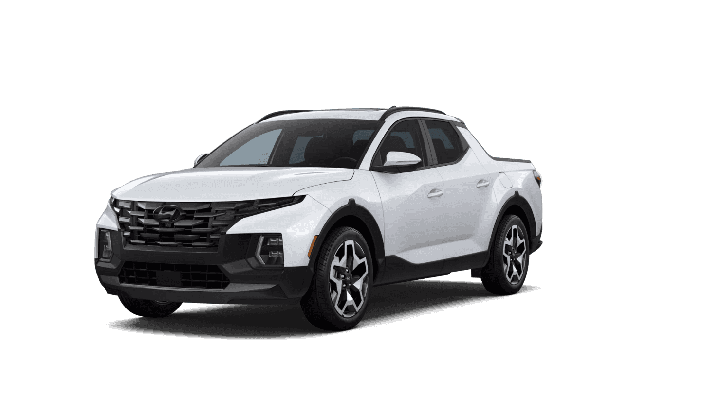 Santa Cruz Limited