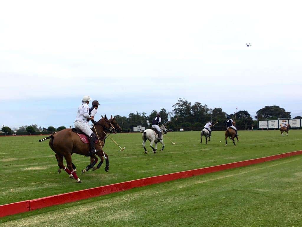 horse-polo