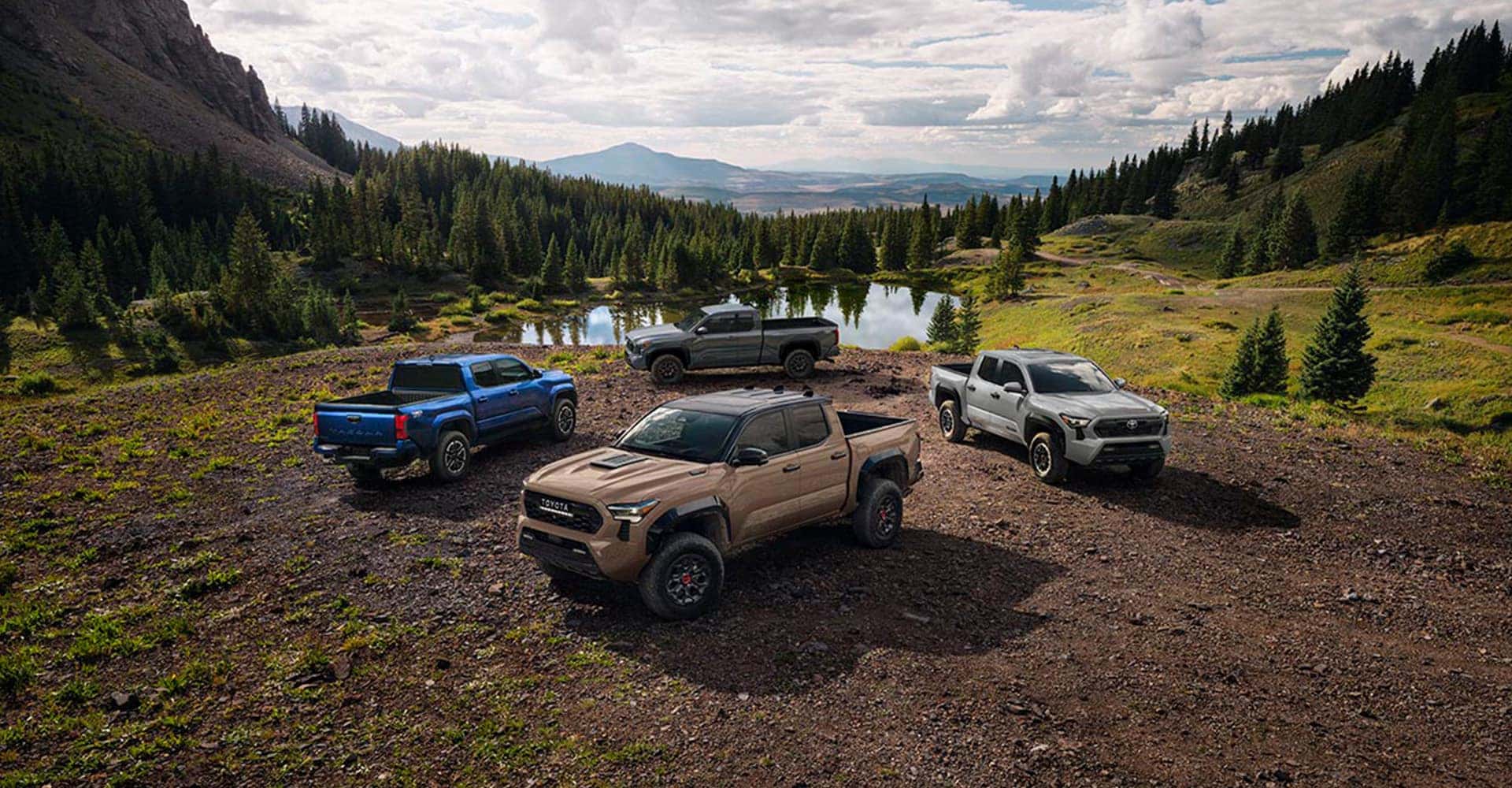 Tacoma Hybrid Multi EXTERIOR