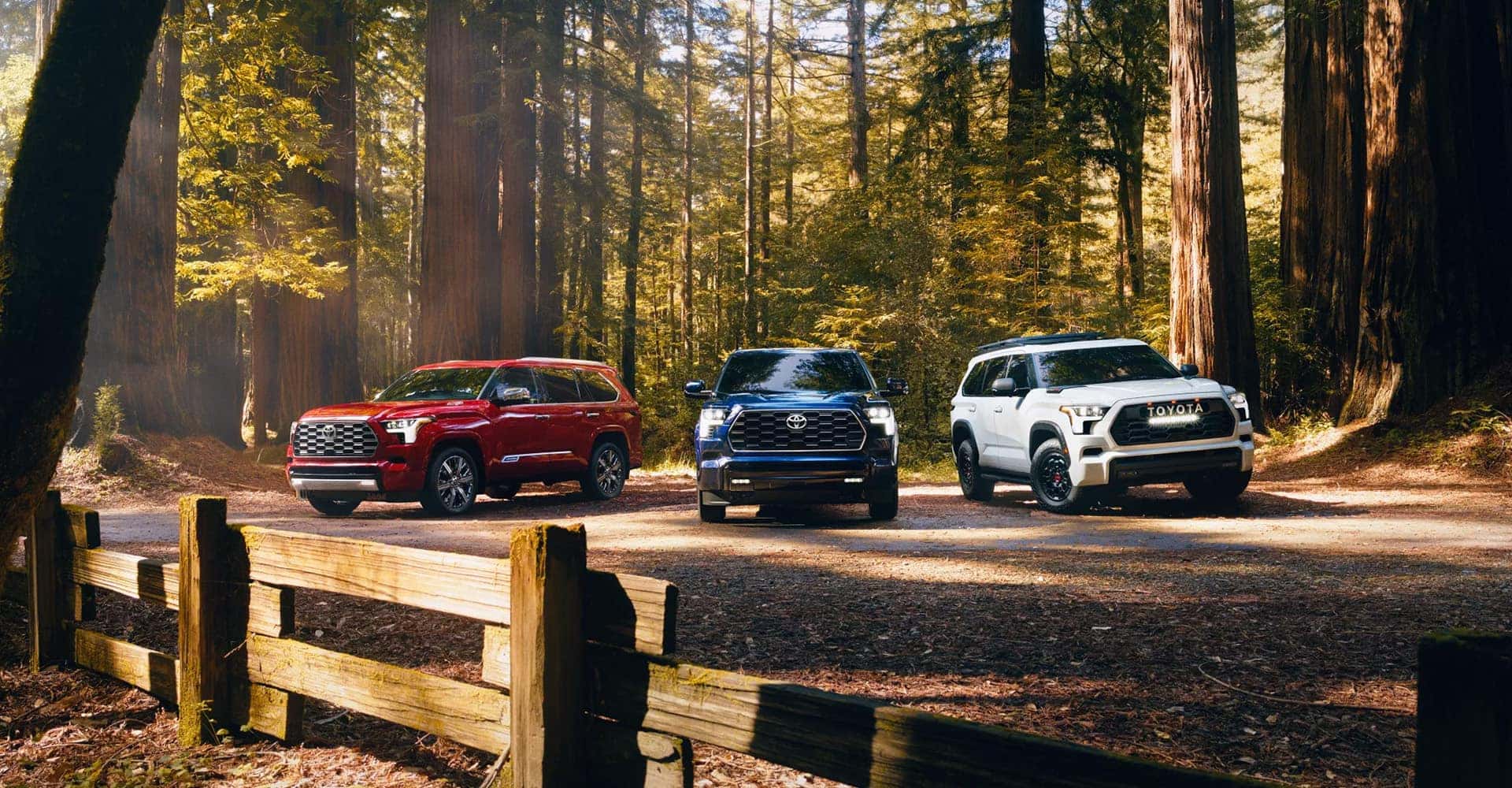 2025 Toyota Sequoia