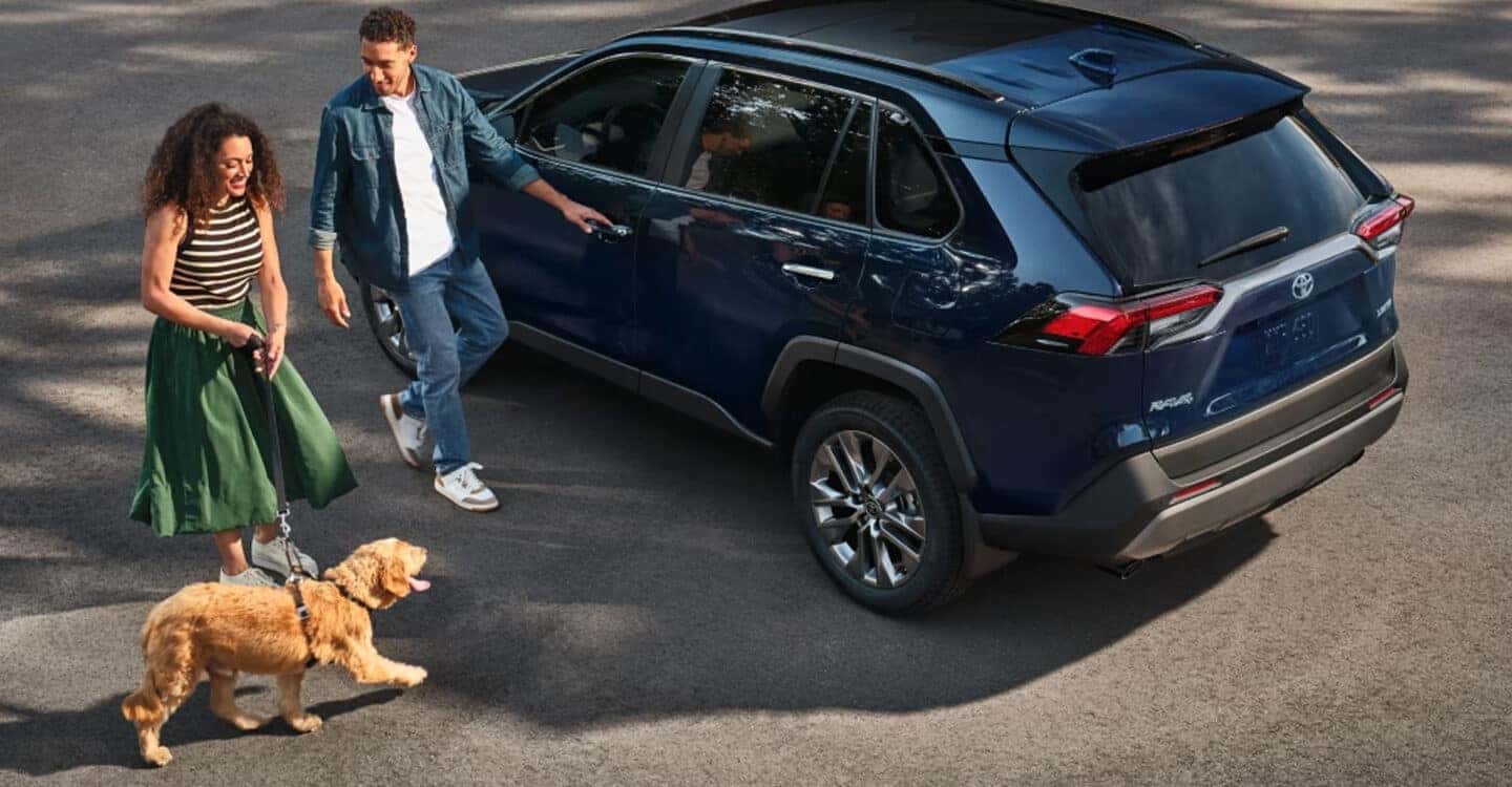 Toyota RAV4 Pet-Friendly Features | Santa Cruz Toyota