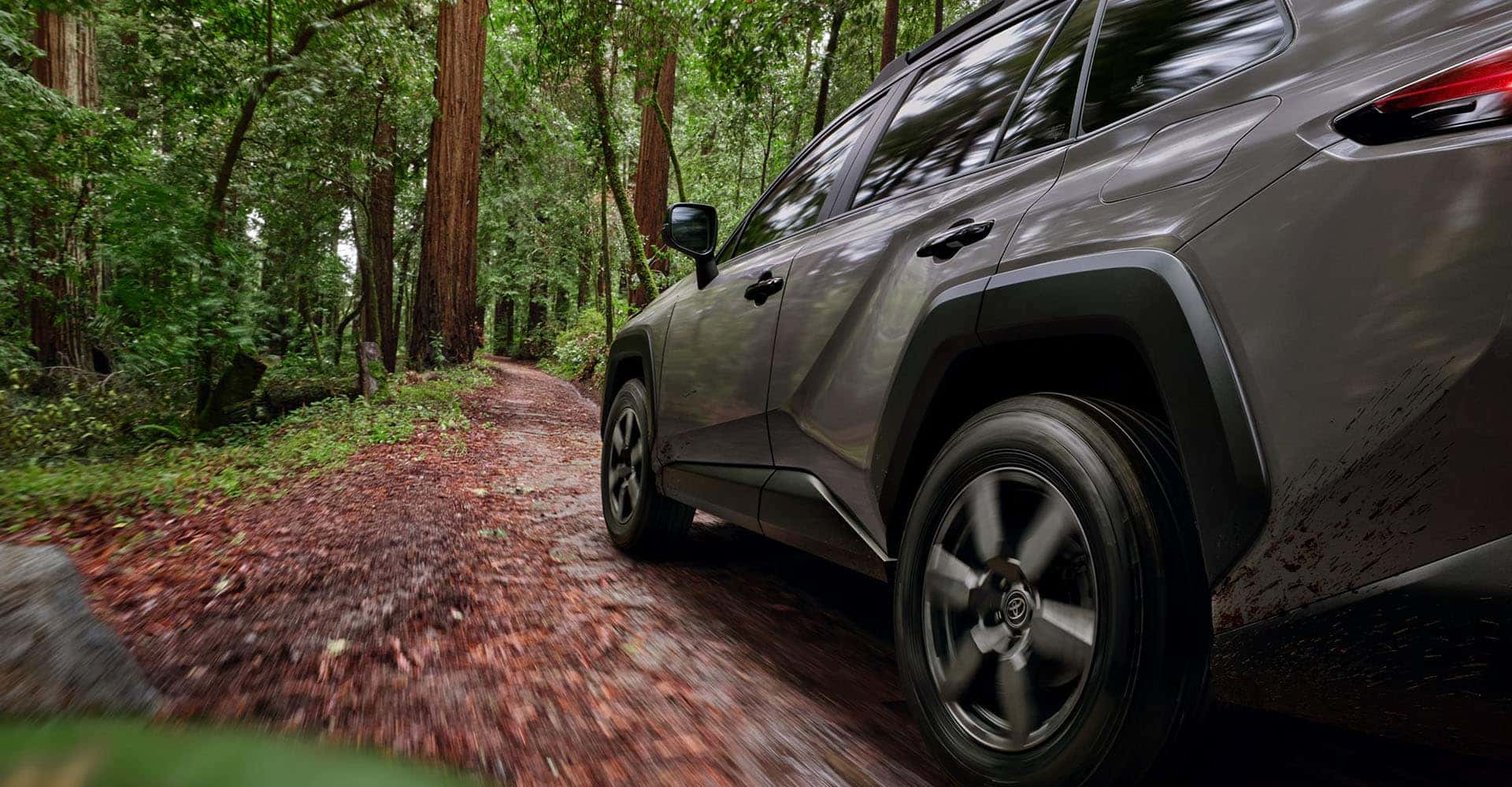 2026-Toyota-RAV4-side-view-in-woods