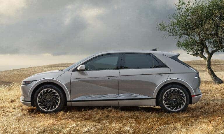 2024 Hyundai IONIQ 5 Exterior Dry Field
