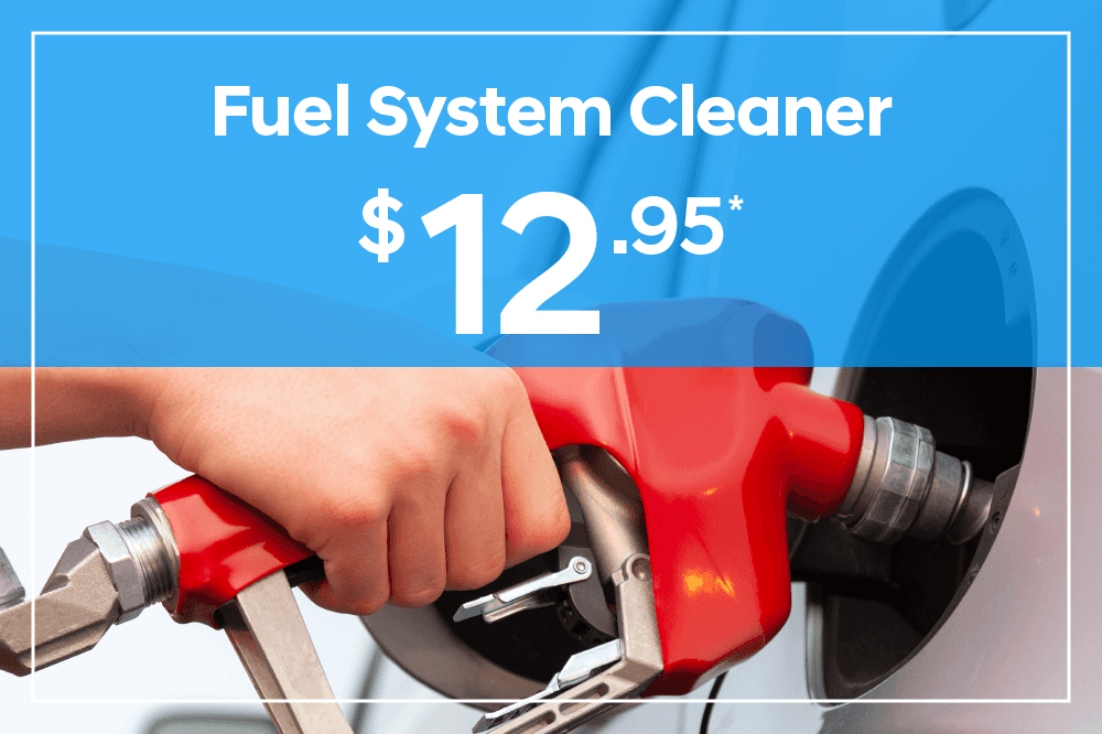 FUEL SYSTEM CLEANER $12.25