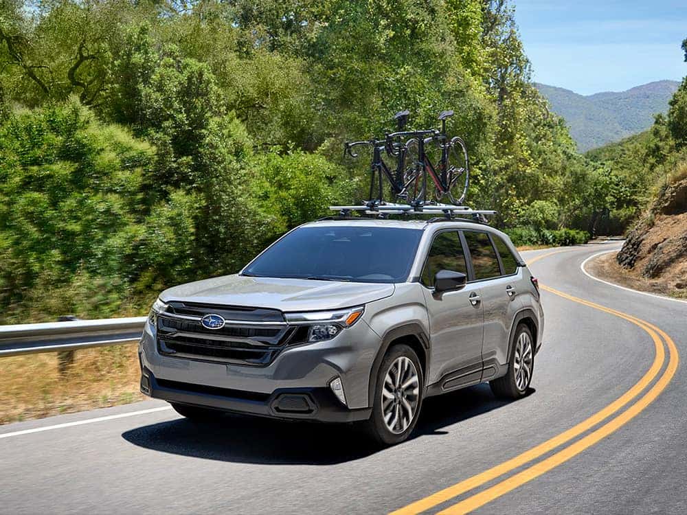 forester_stability
