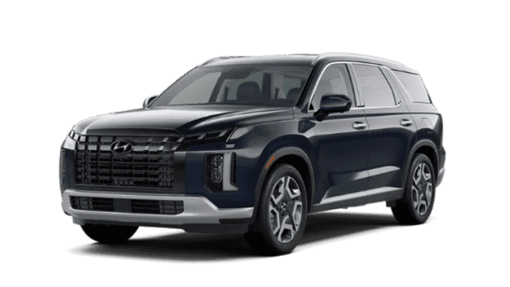 2023 Palisade Limited