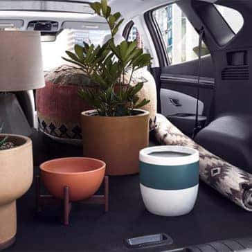 Hatch of 2022 Tucson