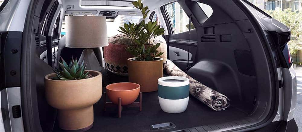 Hatch of 2022 Tucson