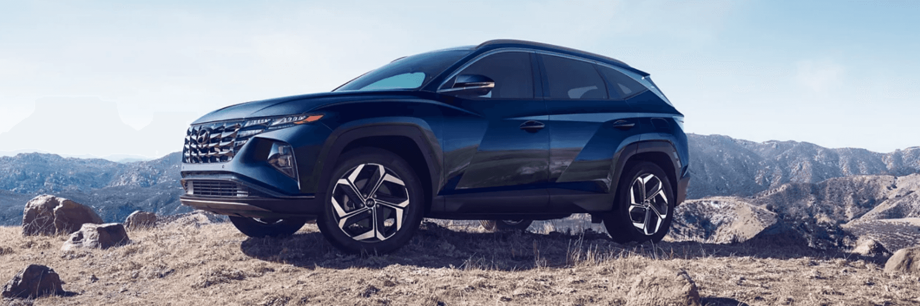 Hyundai SUVs: Smallest to Largest | Tonkin Gladstone Hyundai