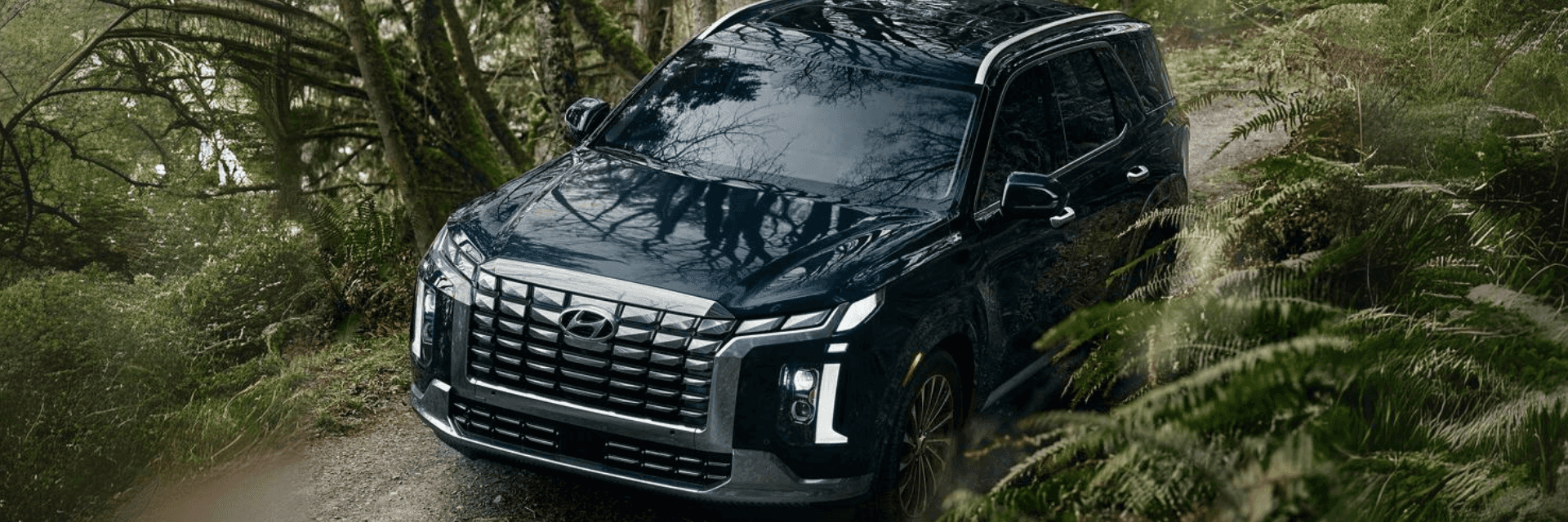 New With the 2025 Hyundai Palisade