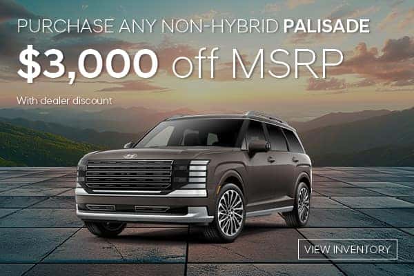 Palisade Special Offer