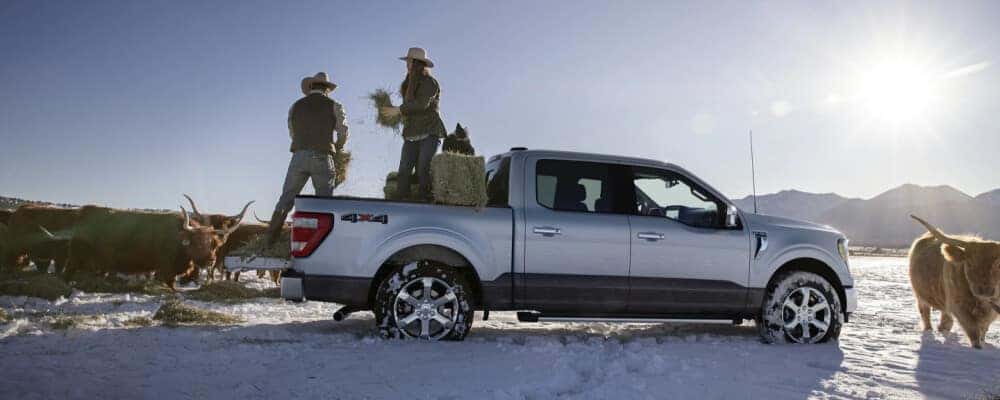 2021 Ford F-150 in the snow
